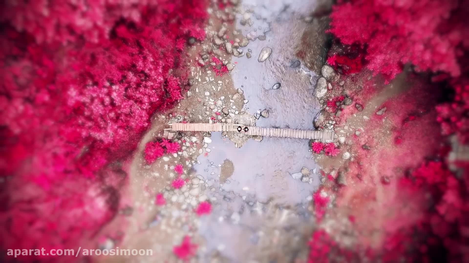 کلیپ اسپورت شمال آتلیه آرین تبریز