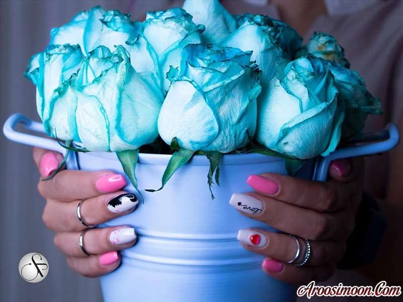 آرایشگاه فرشیده شیراز