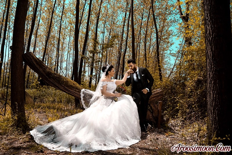 عکاسی فیلتر رشت.عکس باغ عروس