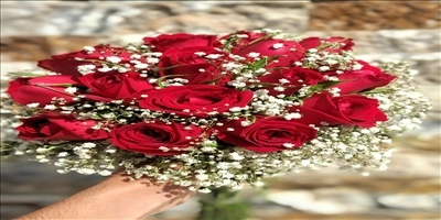 گل فروشی ایران هلند