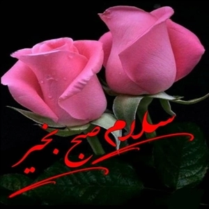 لوگو سالن عقد مجلل