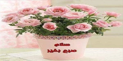 سالن عقد مجلل