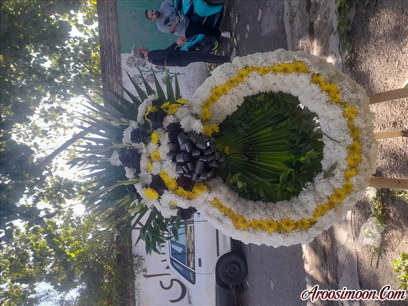 گل فروشی چیچک ساری