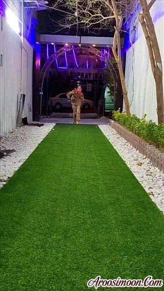 ورودی مجموعه