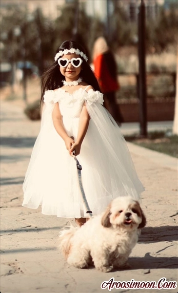 لباس مجلسی پرنسسی 