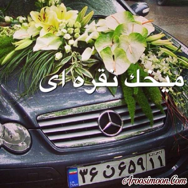 گل فروشی میخک نقره ای اصفهان