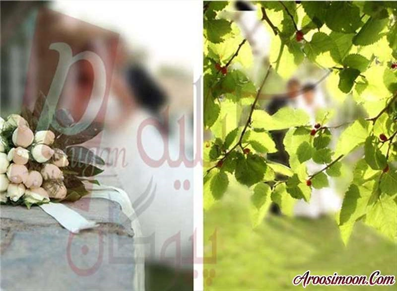 آتلیه پیوگان پرنسس سابق تهران