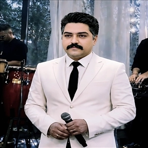 استریو علی